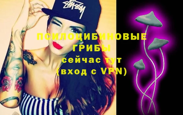 МДПВ Абаза