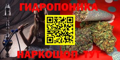 ПСИЛОЦИБИНОВЫЕ ГРИБЫ Славгород