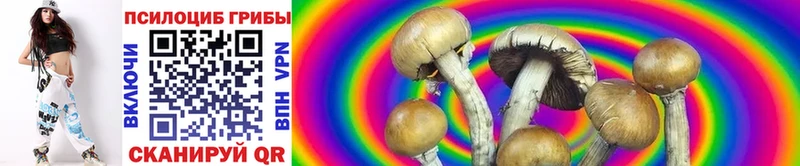 где можно купить наркотик  Сарапул  KRAKEN как зайти  Псилоцибиновые грибы Magic Shrooms 