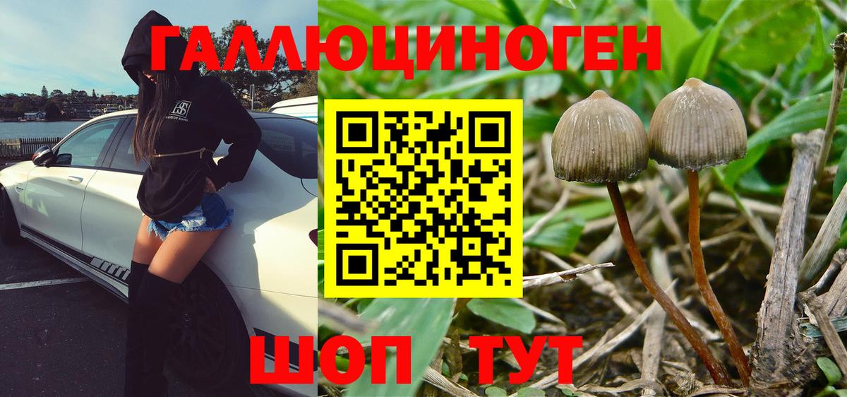 Галлюциногенные грибы GOLDEN TEACHER  Вход с VPN  Галлюциногенные грибы Magic Shrooms  Сарапул 
